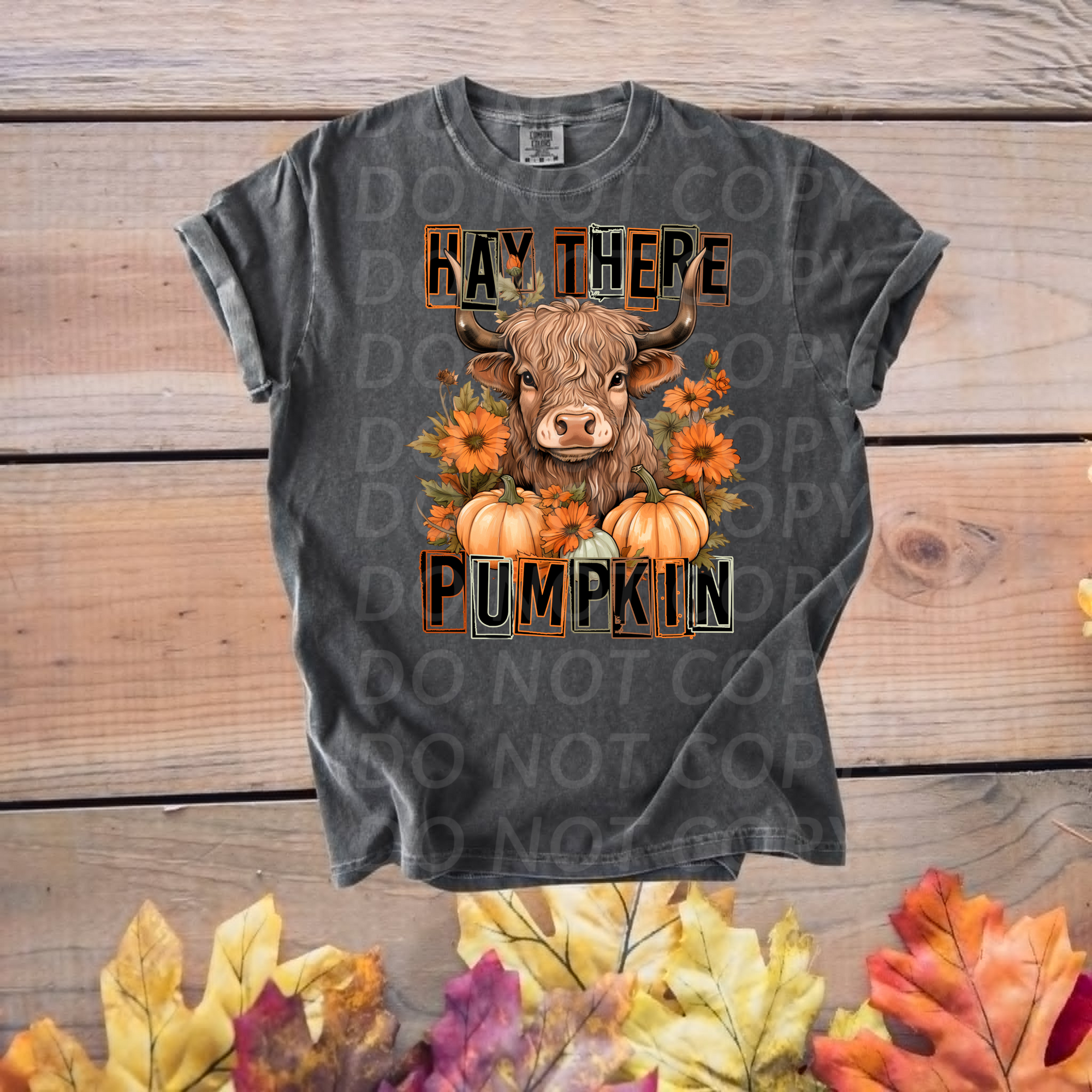 Hey There Pumpkin...DTF Single Print