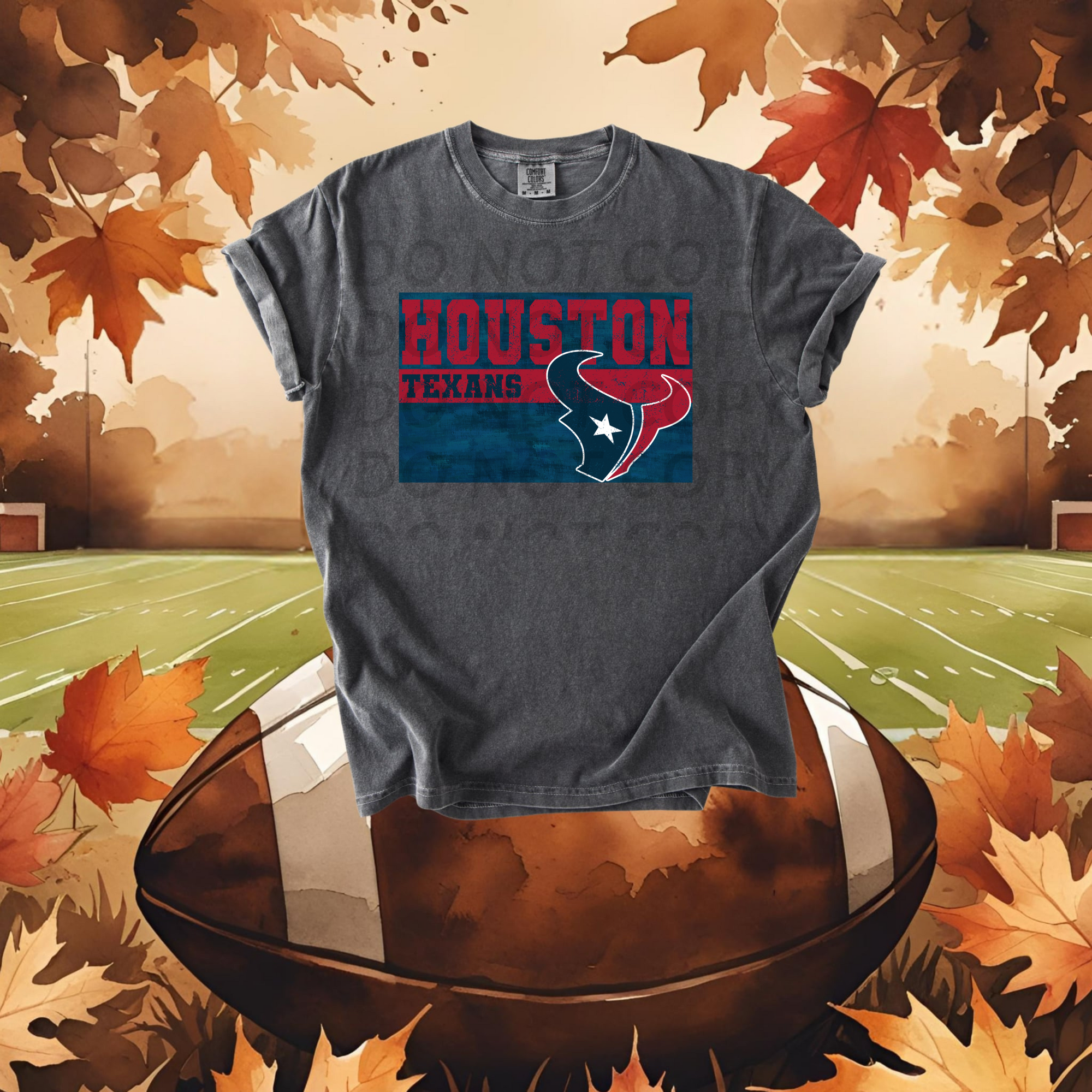 Houston Texans DTF Single Print