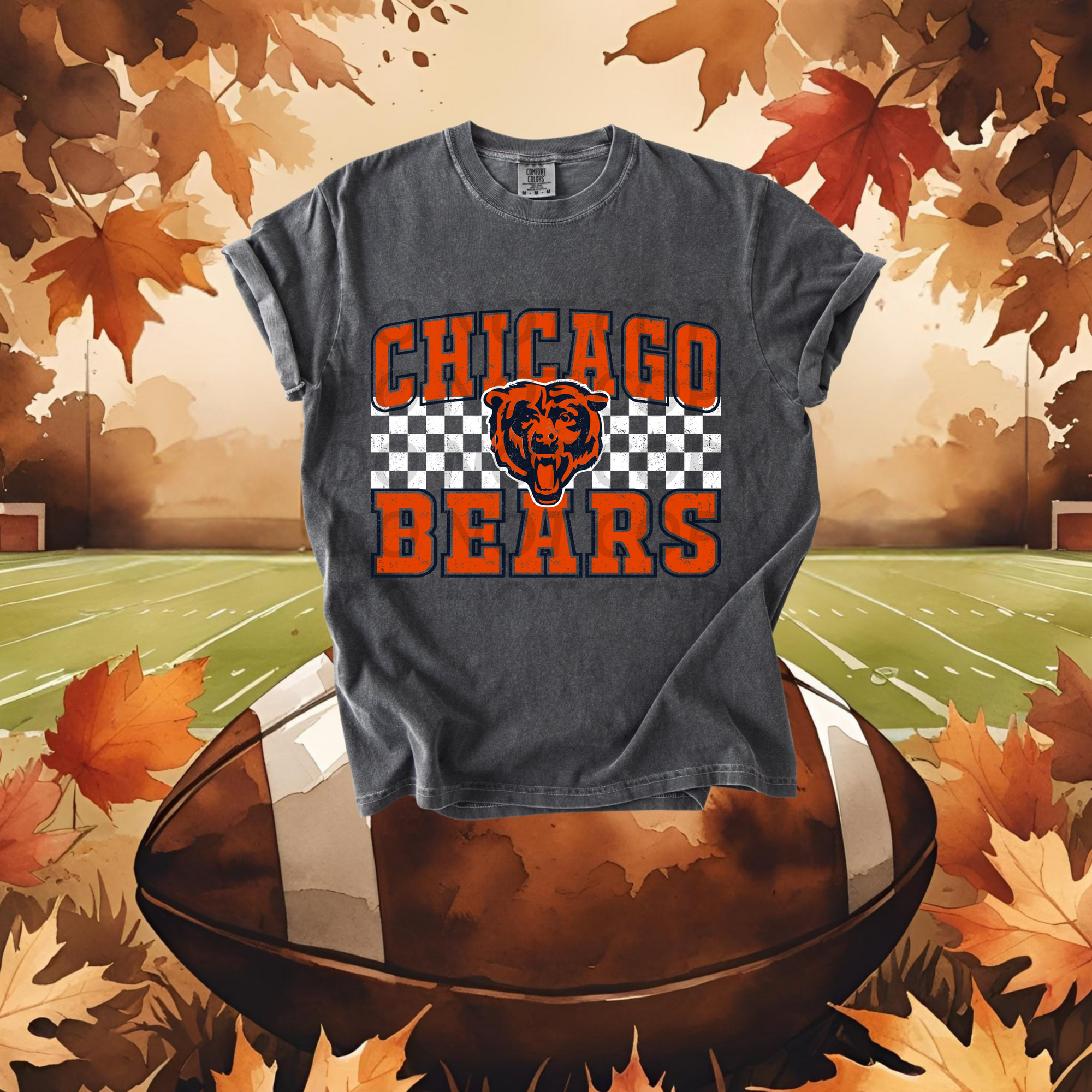 Chicago Bears DTF Single Print