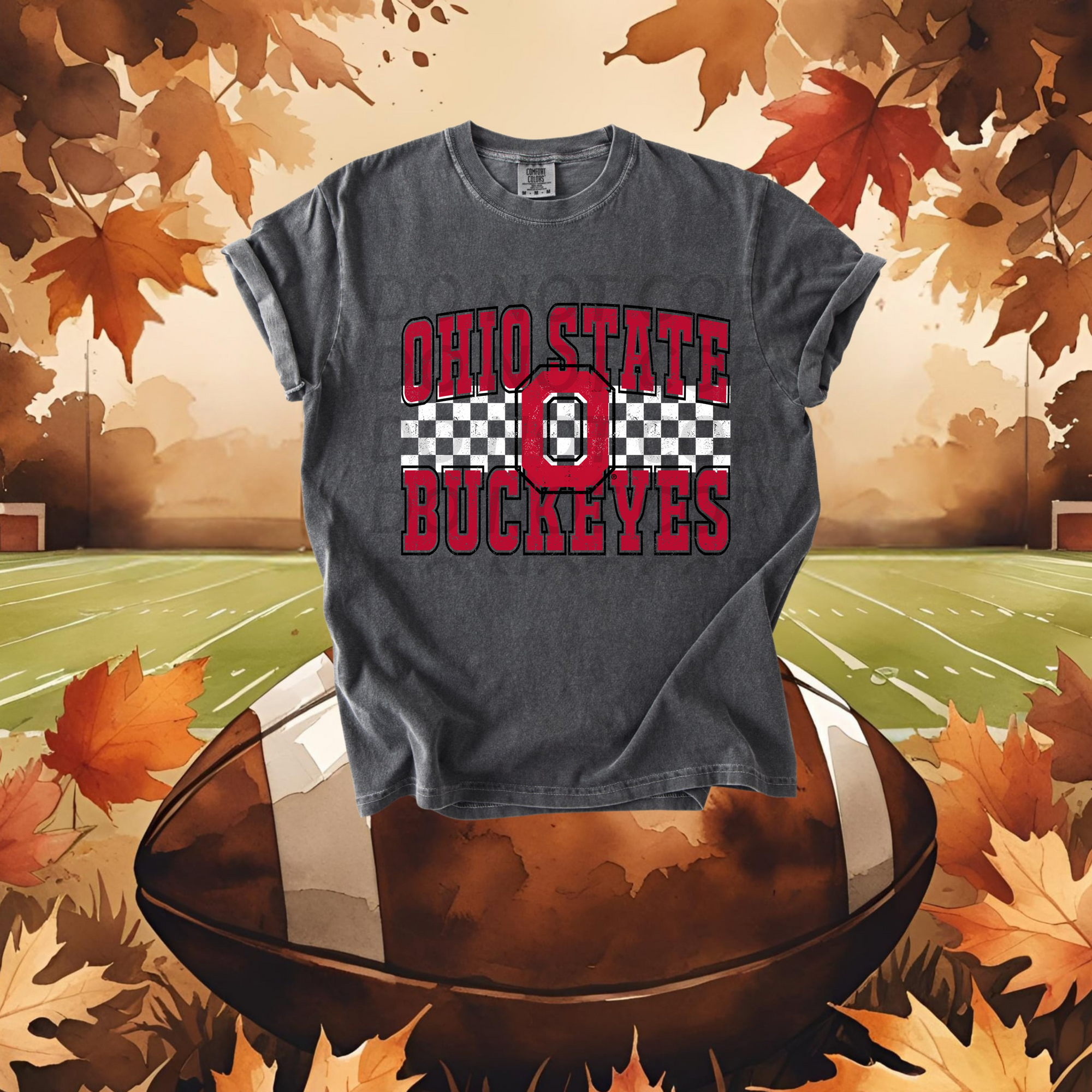 Ohio State Buckeyes DTF Single Print