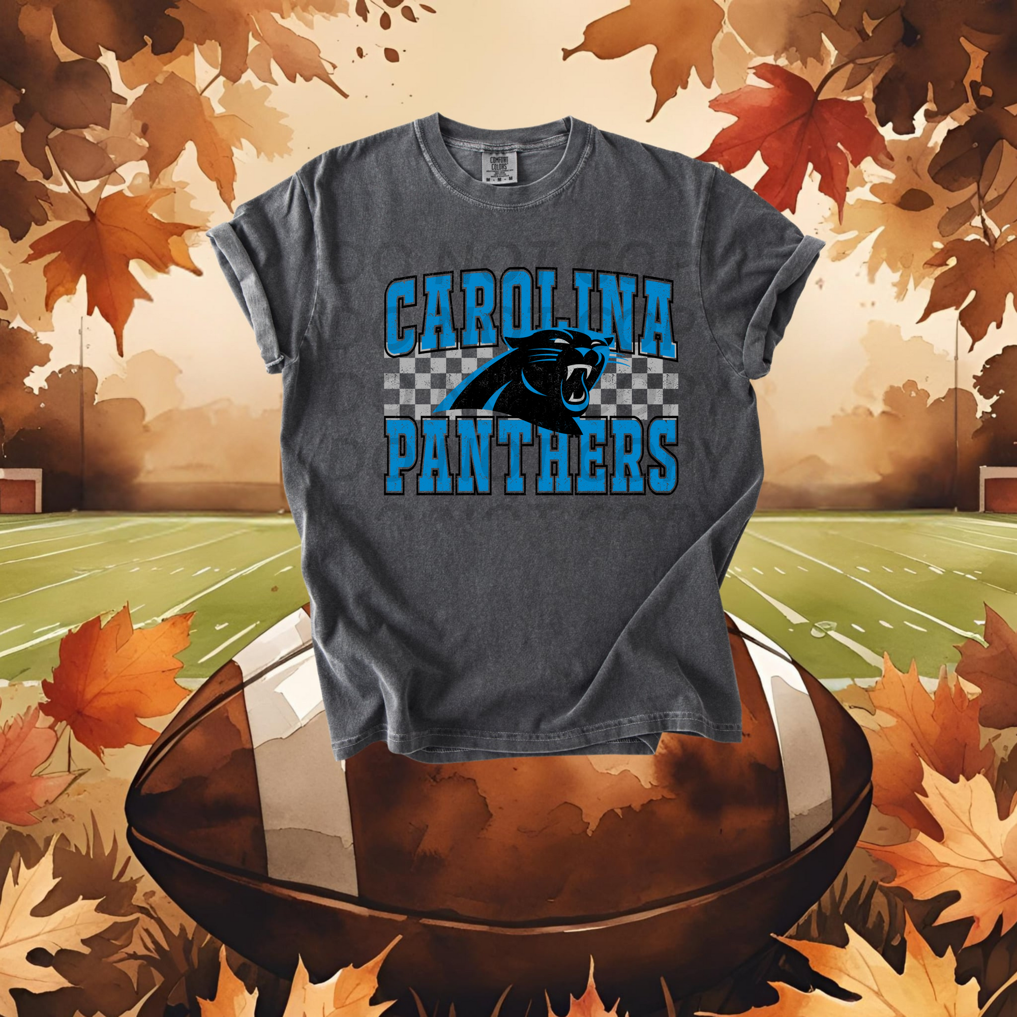 Carolina Panthers DTF Single Print