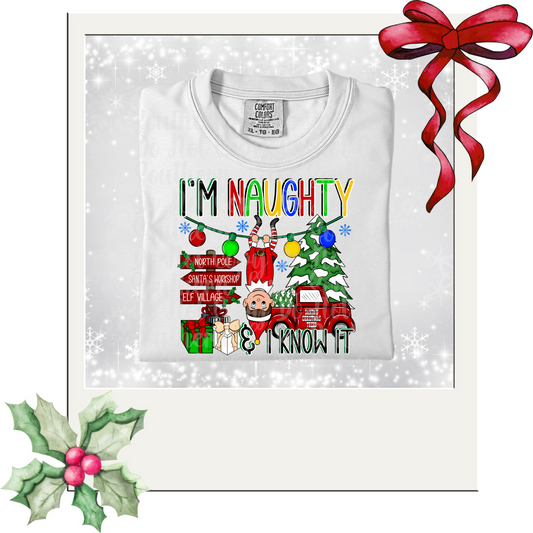 Im naughty and I know it , Elf on a shelf DTF Single Print